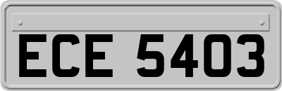 ECE5403