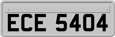 ECE5404