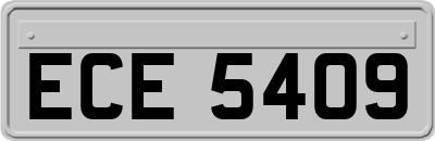 ECE5409