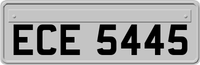 ECE5445