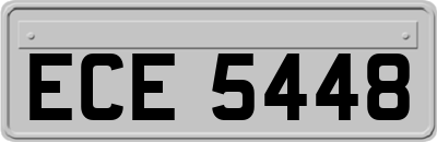 ECE5448
