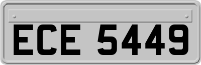 ECE5449