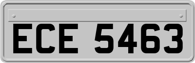 ECE5463