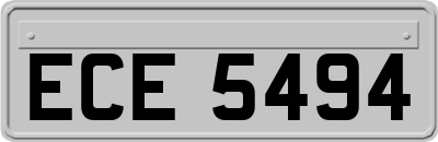 ECE5494