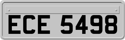 ECE5498