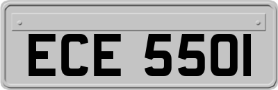 ECE5501