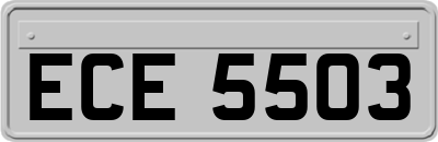 ECE5503