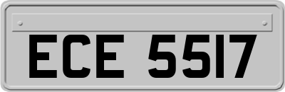 ECE5517