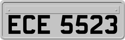 ECE5523
