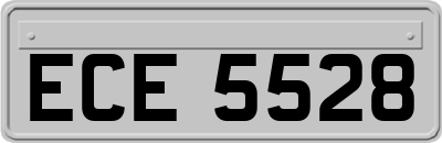 ECE5528