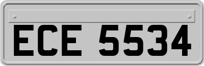 ECE5534
