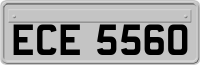 ECE5560