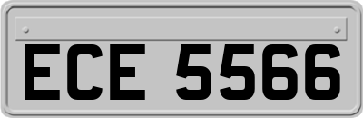 ECE5566