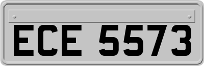 ECE5573