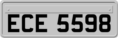 ECE5598