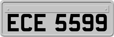 ECE5599