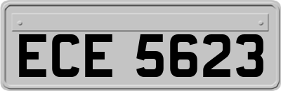 ECE5623