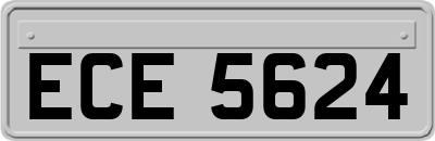 ECE5624