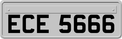 ECE5666