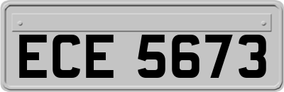 ECE5673
