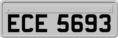 ECE5693