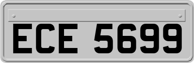 ECE5699