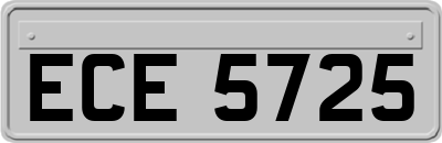 ECE5725