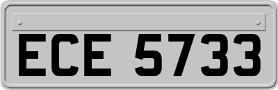 ECE5733