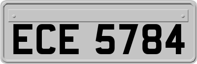ECE5784