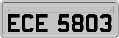 ECE5803