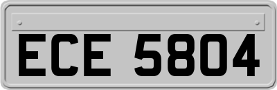 ECE5804