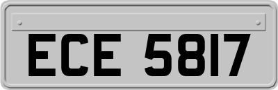ECE5817