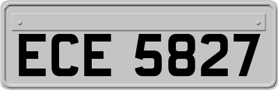 ECE5827