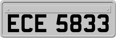 ECE5833