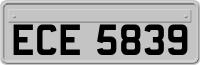 ECE5839