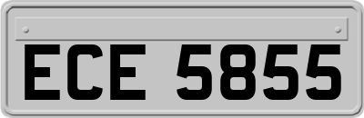 ECE5855