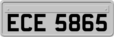 ECE5865