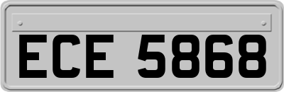 ECE5868