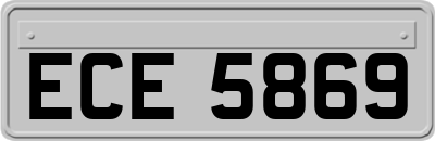 ECE5869