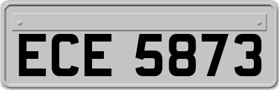 ECE5873