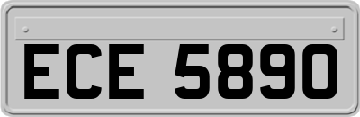 ECE5890
