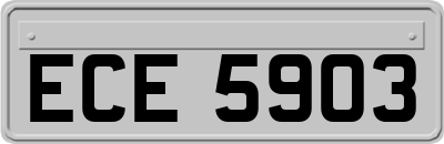 ECE5903