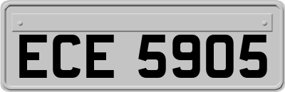 ECE5905