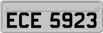 ECE5923
