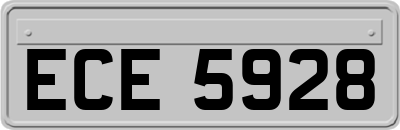 ECE5928
