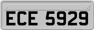 ECE5929