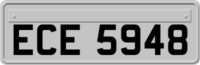 ECE5948