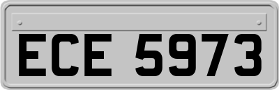 ECE5973