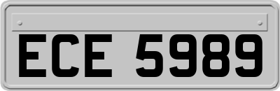 ECE5989