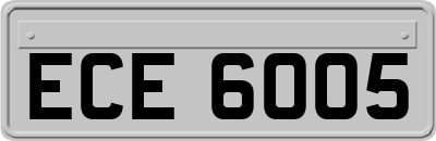 ECE6005